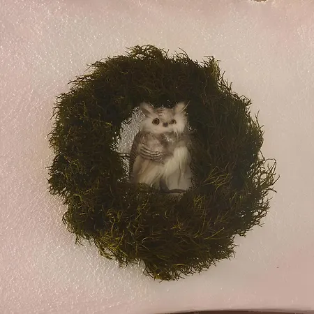 Antica Casa Occitana Bed & Breakfast Sampeire