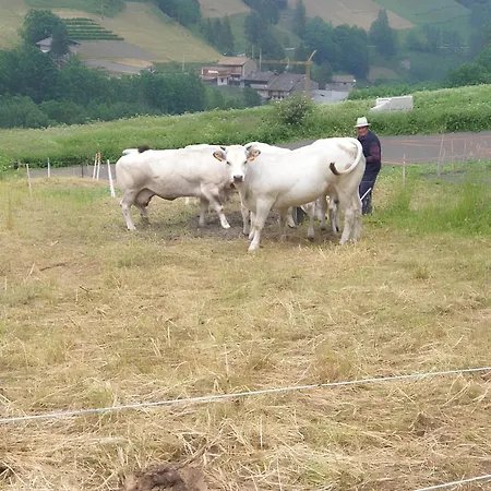 Antica Casa Occitana 3* Sampeire