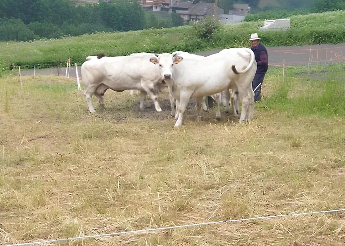 Antica Casa Occitana 3* Sampeire